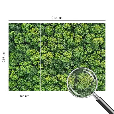 Papier peint photo grand format pour le mur Panorama forestier