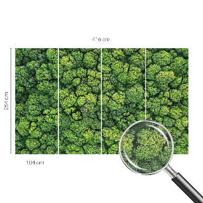 Papier peint photo grand format pour le mur Panorama forestier