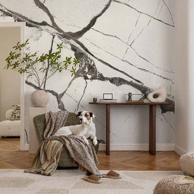 Papier peint tête de lit chambre adulte Mramorové praskliny