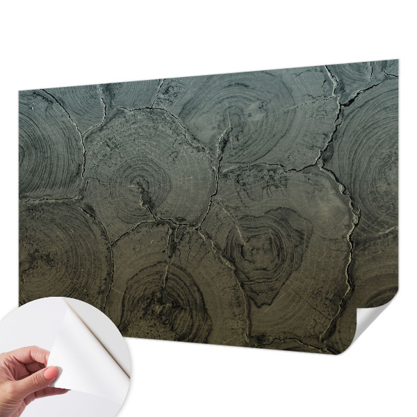 Papier peint panoramique adhésif Drevené krúžky