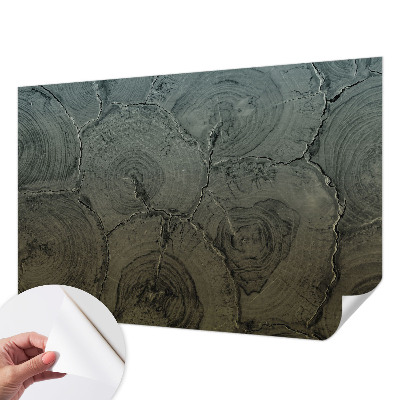 Papier peint panoramique adhésif Drevené krúžky