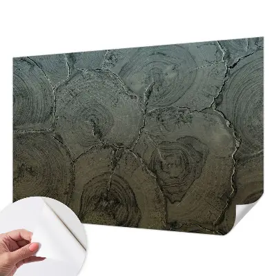 Papier peint photo grand format pour le mur anneaux en bois