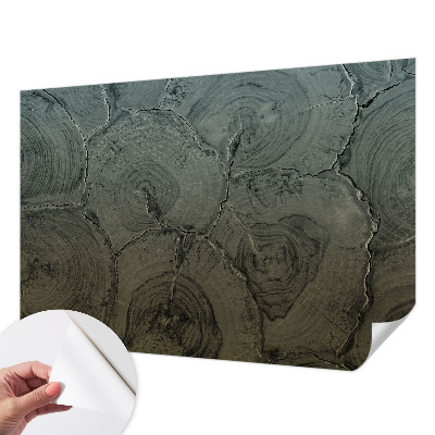 Papier peint panoramique adhésif Drevené krúžky