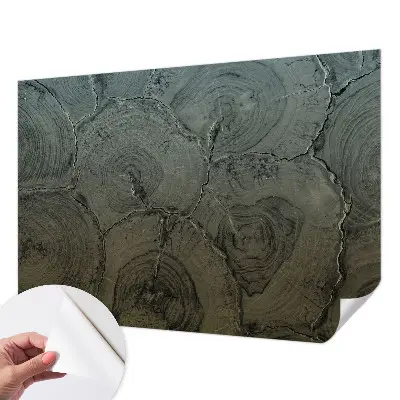 Papier peint photo grand format pour le mur anneaux en bois
