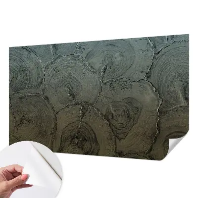 Papier peint photo grand format pour le mur anneaux en bois