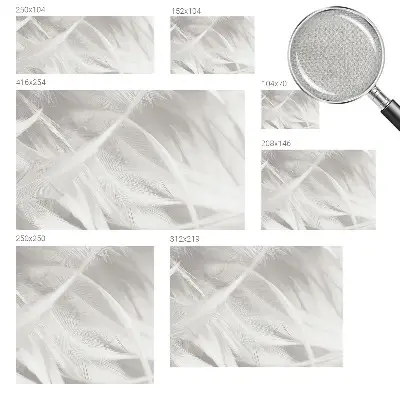 Papier peint photographique intissé Plumes subtiles