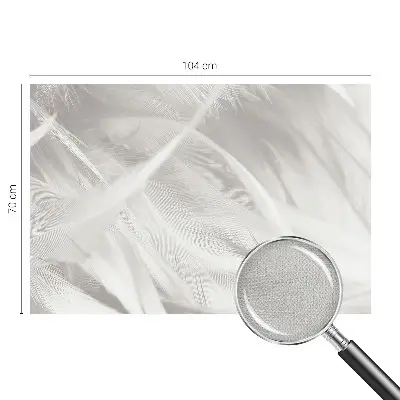 Papier peint photographique intissé Plumes subtiles