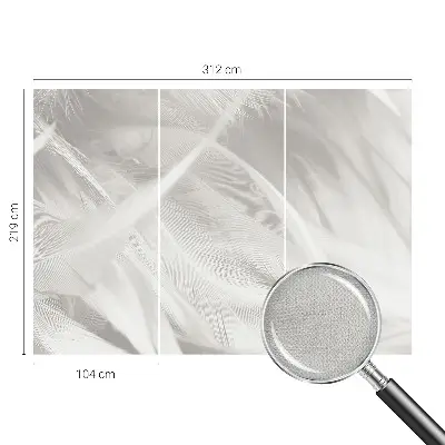 Papier peint photographique intissé Plumes subtiles