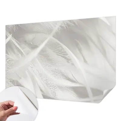 Papier peint photographique intissé Plumes subtiles