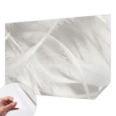 Papier peint photographique intissé Plumes subtiles
