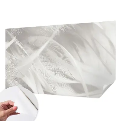 Papier peint photographique intissé Plumes subtiles
