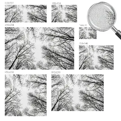 Papier peint photo sur tissu non tissé branches nues