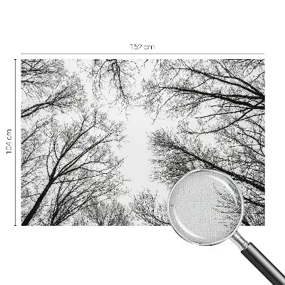 Papier peint photo sur tissu non tissé branches nues
