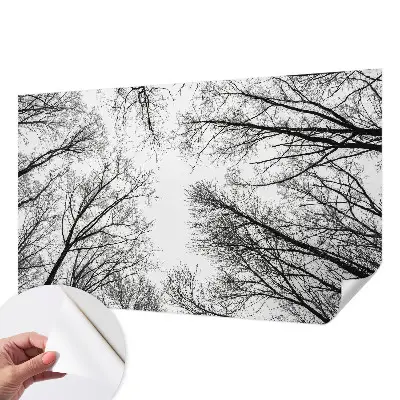 Papier peint photo sur tissu non tissé branches nues
