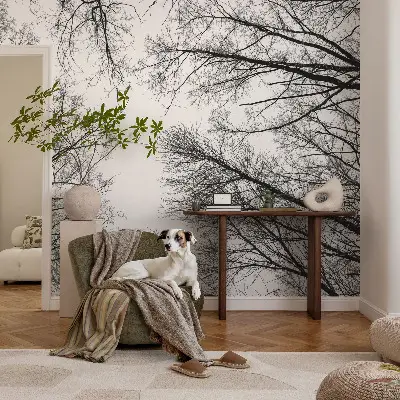 Papier peint photo sur tissu non tissé branches nues