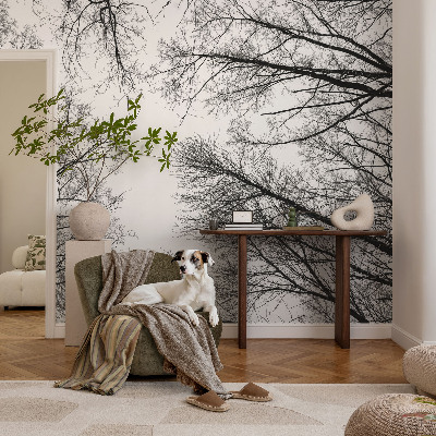 Papier peint tendance salon Holé konáre