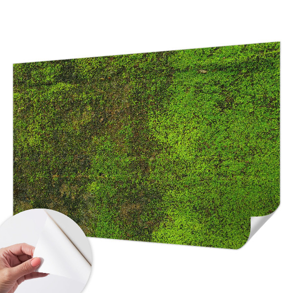 Papier peint tête de lit chambre adulte Zelený koberec
