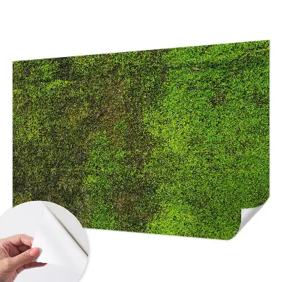 Papier peint intissé Tapis vert