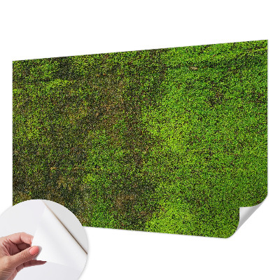 Papier peint tête de lit chambre adulte Zelený koberec