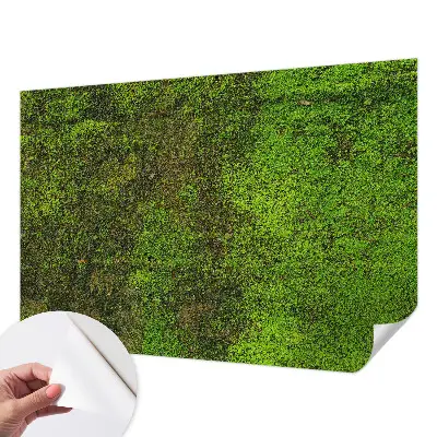 Papier peint intissé Tapis vert