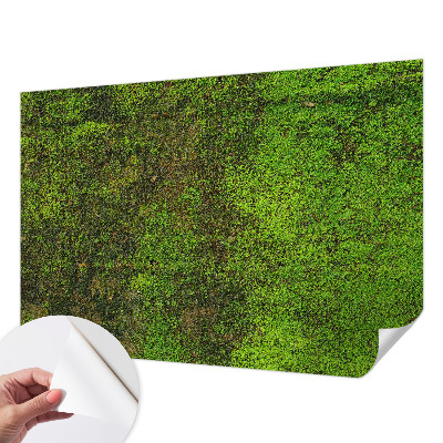 Papier peint tête de lit chambre adulte Zelený koberec