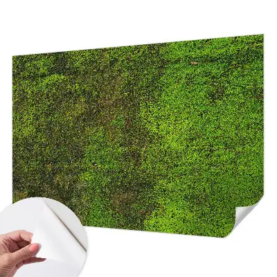 Papier peint intissé Tapis vert