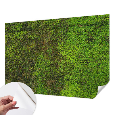 Papier peint tête de lit chambre adulte Zelený koberec