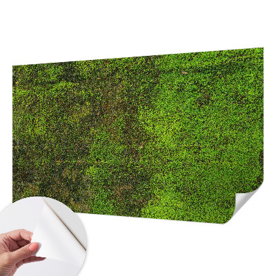 Papier peint tête de lit chambre adulte Zelený koberec