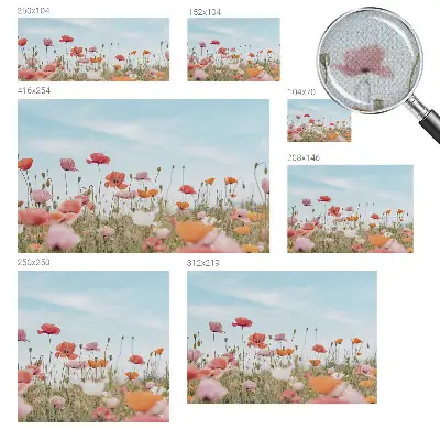 Papier peint intissé imprimé fleurs de coquelicot