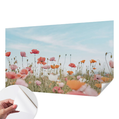 Papier peint panoramique pas cher Makové kvety