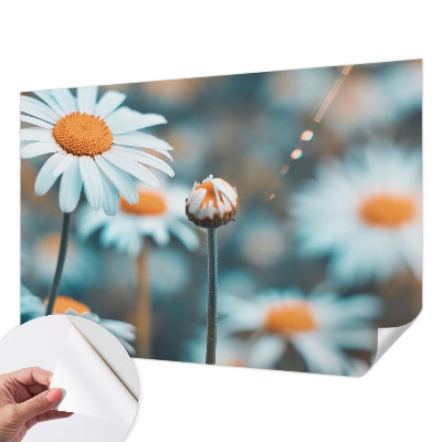 Papier peint chambre garçon Harmančeková pochúťka