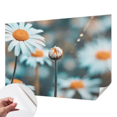 Papier peint intissé imprimé Délice à la camomille