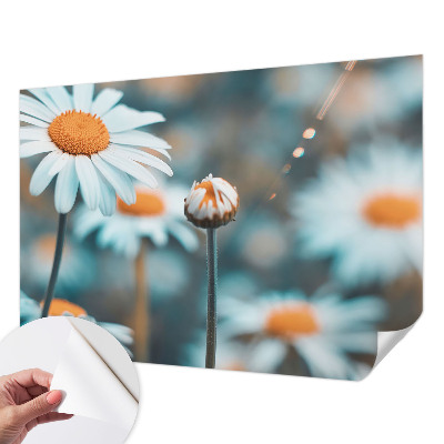 Papier peint chambre garçon Harmančeková pochúťka