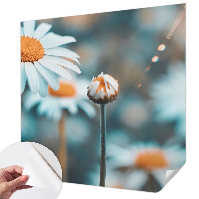 Papier peint chambre garçon Harmančeková pochúťka
