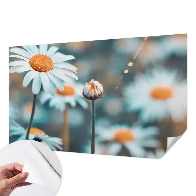 Papier peint intissé imprimé Délice à la camomille