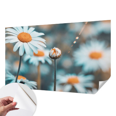 Papier peint chambre garçon Harmančeková pochúťka