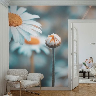 Papier peint chambre garçon Harmančeková pochúťka