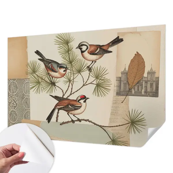 Papier peint intissé Collage d'oiseaux