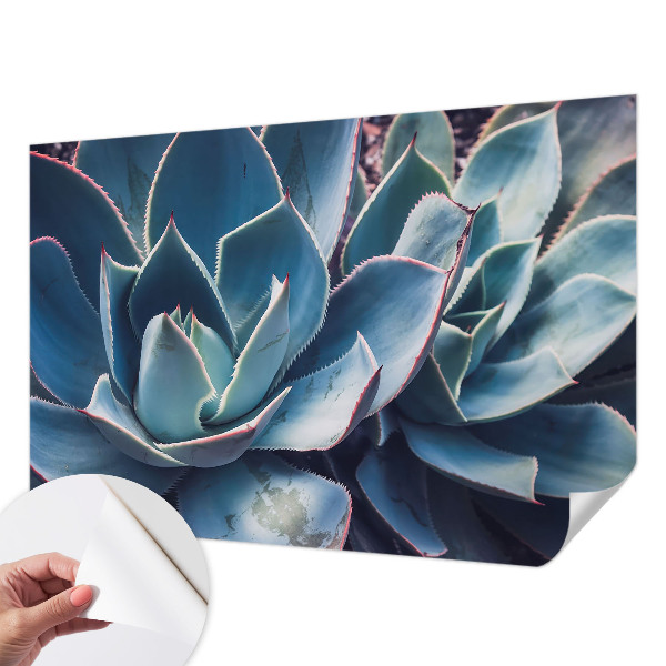 Papier peint chambre adulte cocooning Zelená aloe