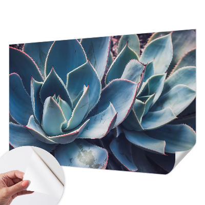 Papier peint chambre adulte cocooning Zelená aloe
