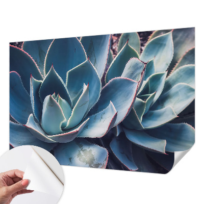Papier peint chambre adulte cocooning Zelená aloe