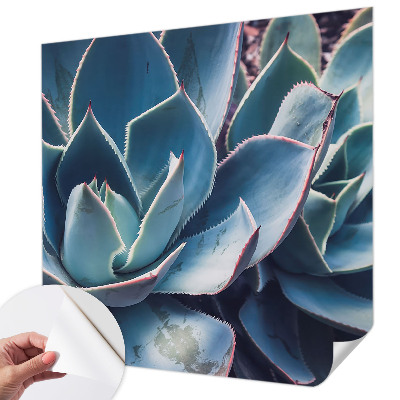 Papier peint chambre adulte cocooning Zelená aloe