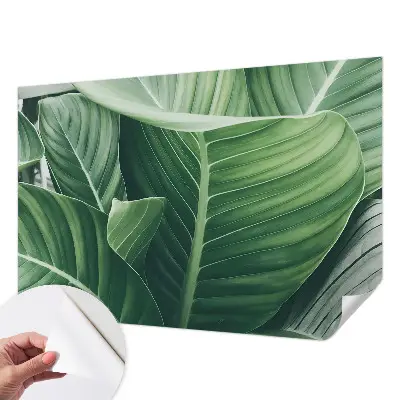 Papier peint intissé Paix verte