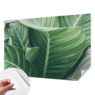 Papier peint tête de lit chambre adulte Zelený mier