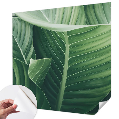 Papier peint tête de lit chambre adulte Zelený mier