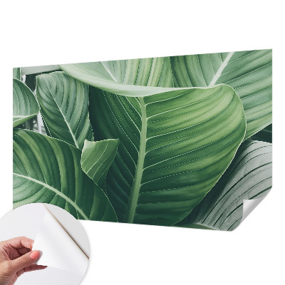 Papier peint tête de lit chambre adulte Zelený mier