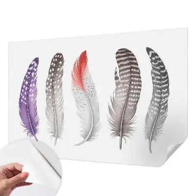 Papier peint intissé Plumes à motifs