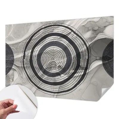 Papier peint photo grand format pour le mur Cercles gris