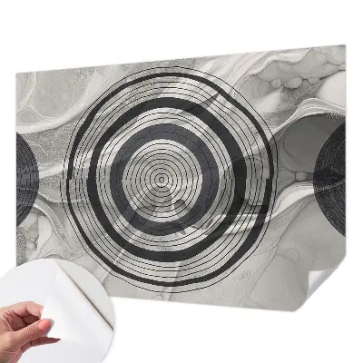 Papier peint photo grand format pour le mur Cercles gris