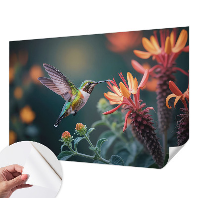 Papier peint tendance salon Kvety kolibríka